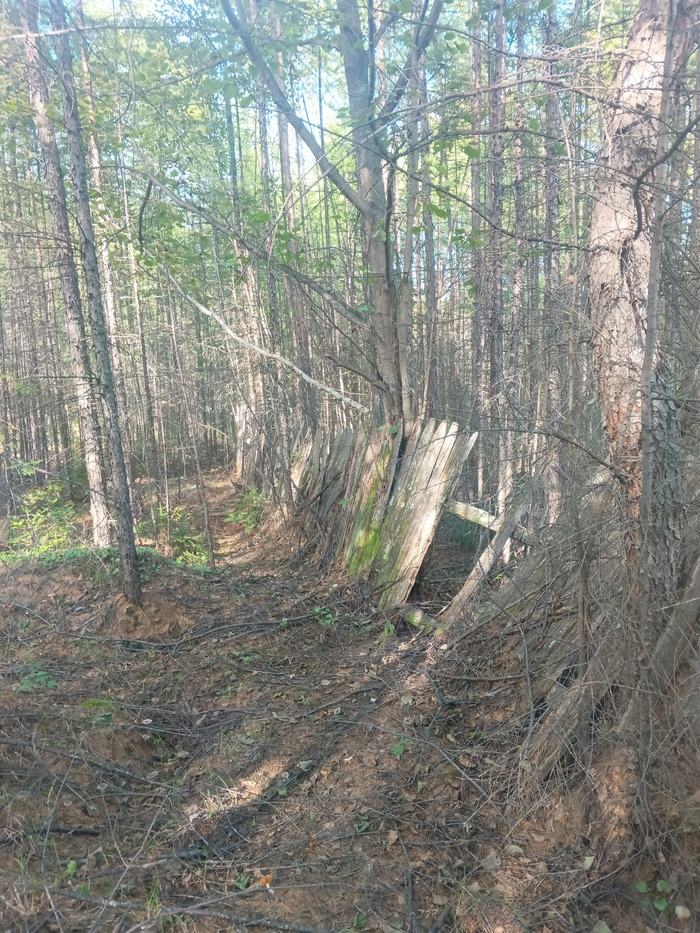     ...  20-25        .  ,    (  )     ,   .