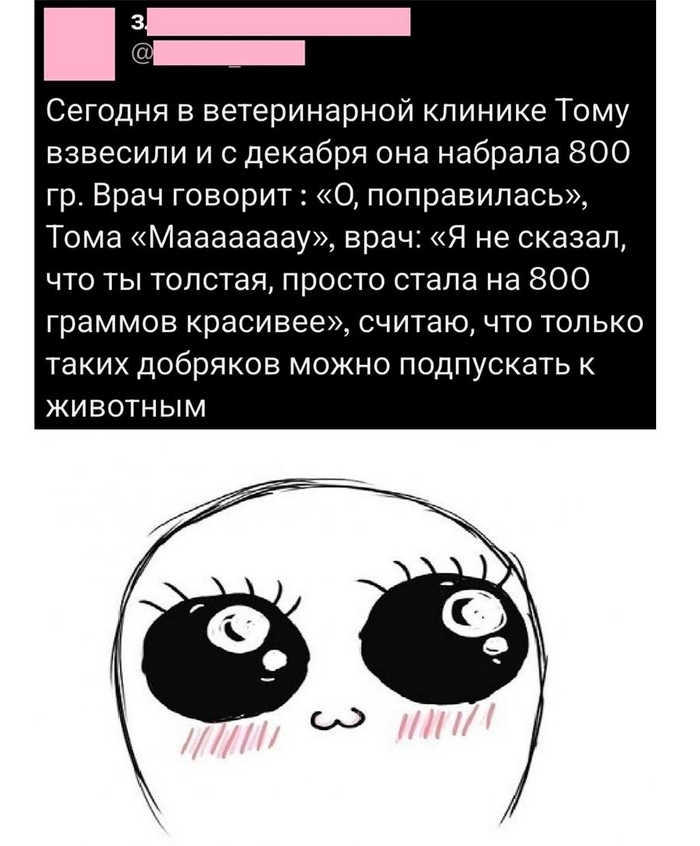    ,  , Telegram (), , , ,  