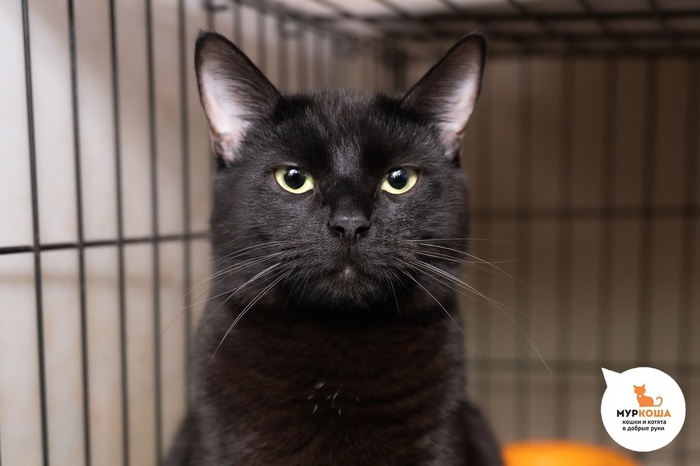   - 2 ,  . .        - .  ,              .