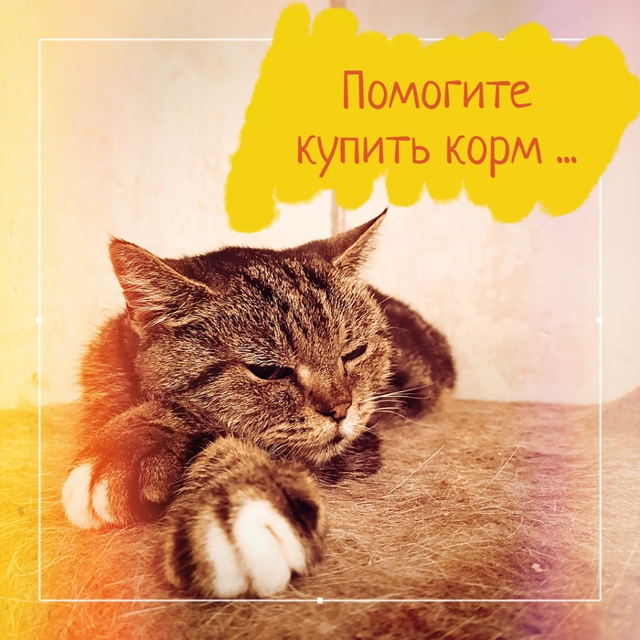 ,   ! ,  , ,  ,  , , 