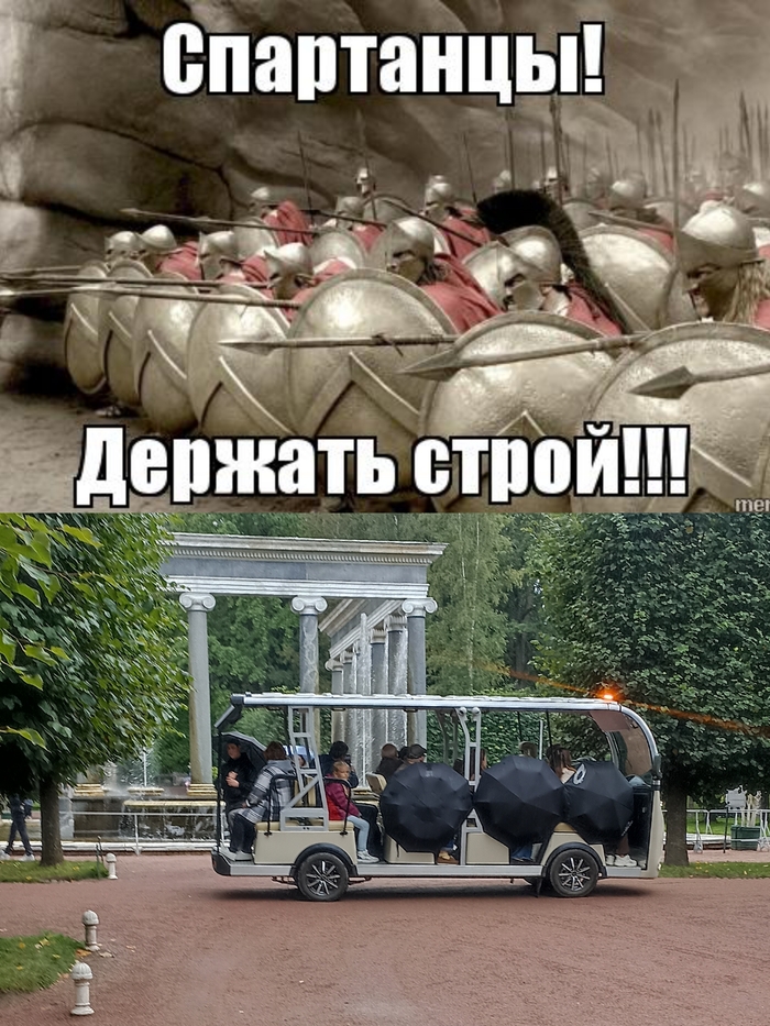   300    , -, , ,   