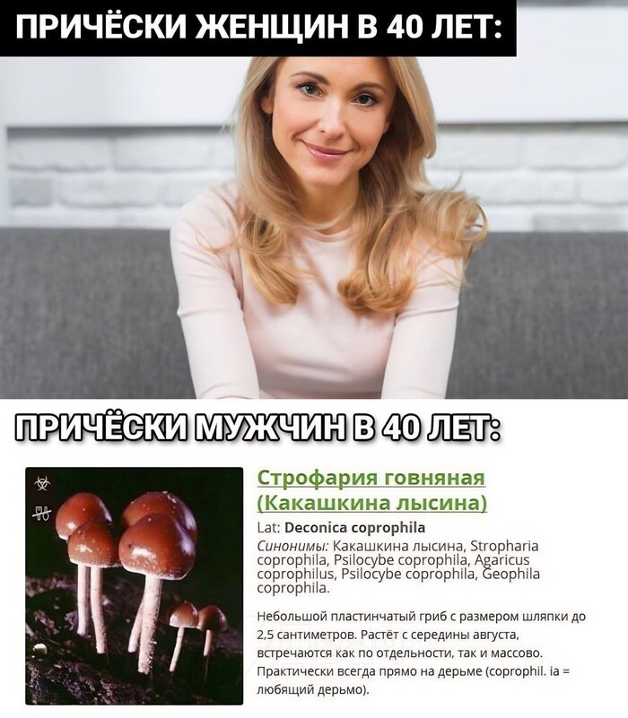 Прически