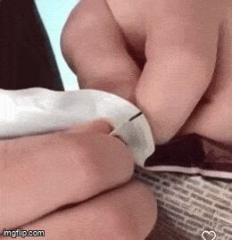 Собачьи гифки Гифка, Ассорти, Собака, Длиннопост