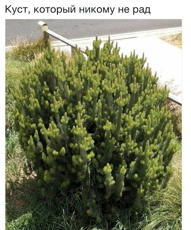    , , , , 