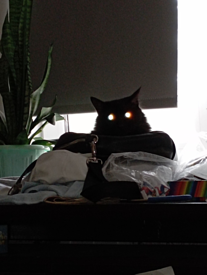  ,  ,  ! , , ,  , , 