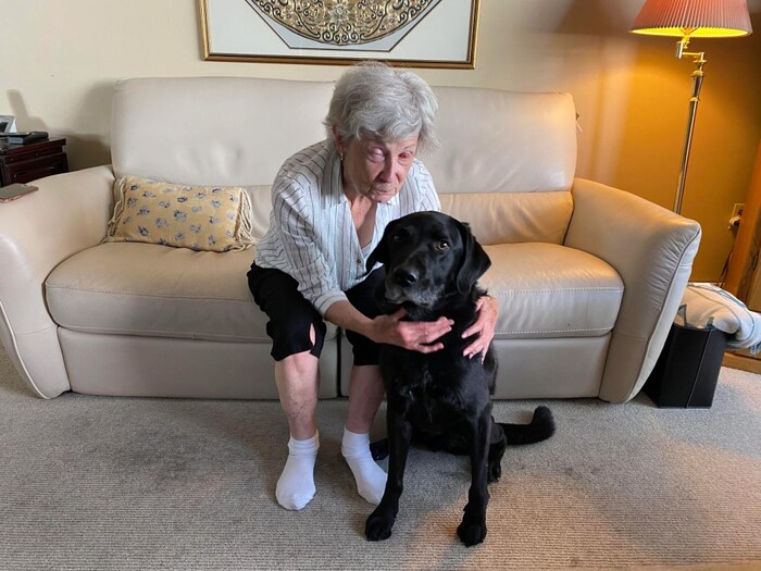 75-  ,   -  ,     ,          .  