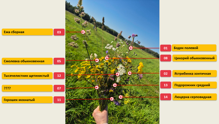     ,         . ,    ,       ,    :<a href="https://pikabu.ru/story/posledniy_buket_leta_13135759?u=https%3A%2F%2F%D0%BA%D0%B0%D1%80%D1%82%D0%B0-%D0%BE%D1%84%D0%B8%D1%81%D0%B0.%D1%80%D1%84%2F&t=%D0%9A%D0%B0%D1%80%D1%82%D0%B0-%D0%BE%D1%84%D0%B8%D1%81%D0%B0.%D1%80%D1%84%20-%20%D1%8D%D1%82%D0%BE%20%D1%81%D0%B8%D1%81%D1%82%D0%B5%D0%BC%D0%B0%20%D1%83%D0%BF%D1%80%D0%B0%D0%B2%D0%BB%D0%B5%D0%BD%D0%B8%D1%8F%20%D0%BE%D1%84%D0%B8%D1%81%D0%BE%D0%BC.&h=e7a5117d12c2a09f60f4f74b2fc7dd73dd4ee16a" title="https://-./" target="_blank" rel="nofollow noopener"> -. -    .</a>