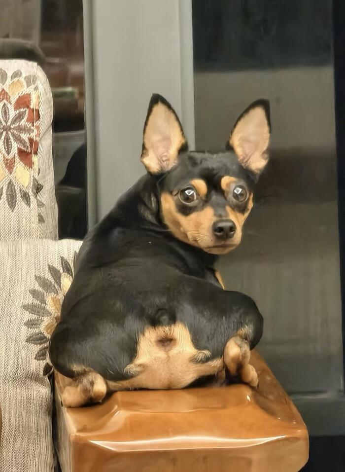  ?! , , , , -