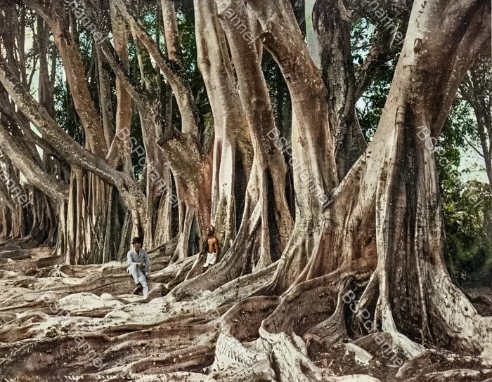Уникальные исторические кадры, которые перенесут вас в прошлое. 20 раскрашенных фотографий из ХIX века. Часть 10 Историческое фото, Старое фото, 19 век, Фотография, Колоризация, Длиннопост