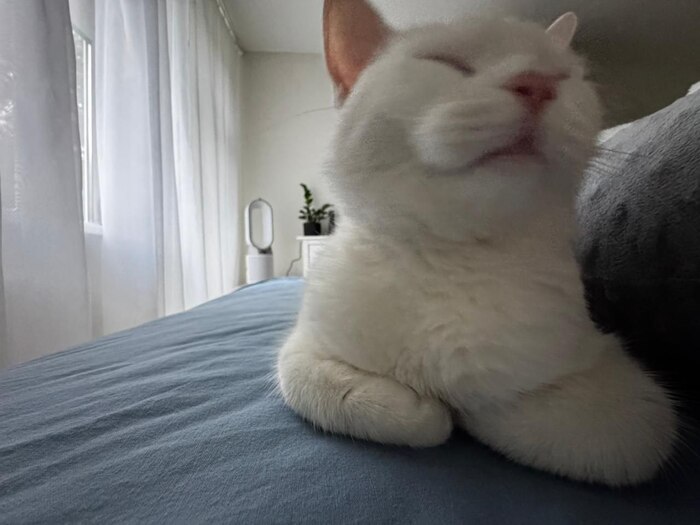 А вот Уголёк уже полностью доволен переездом в новую жизнь