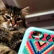 ����� ����� ������ ���� �����������