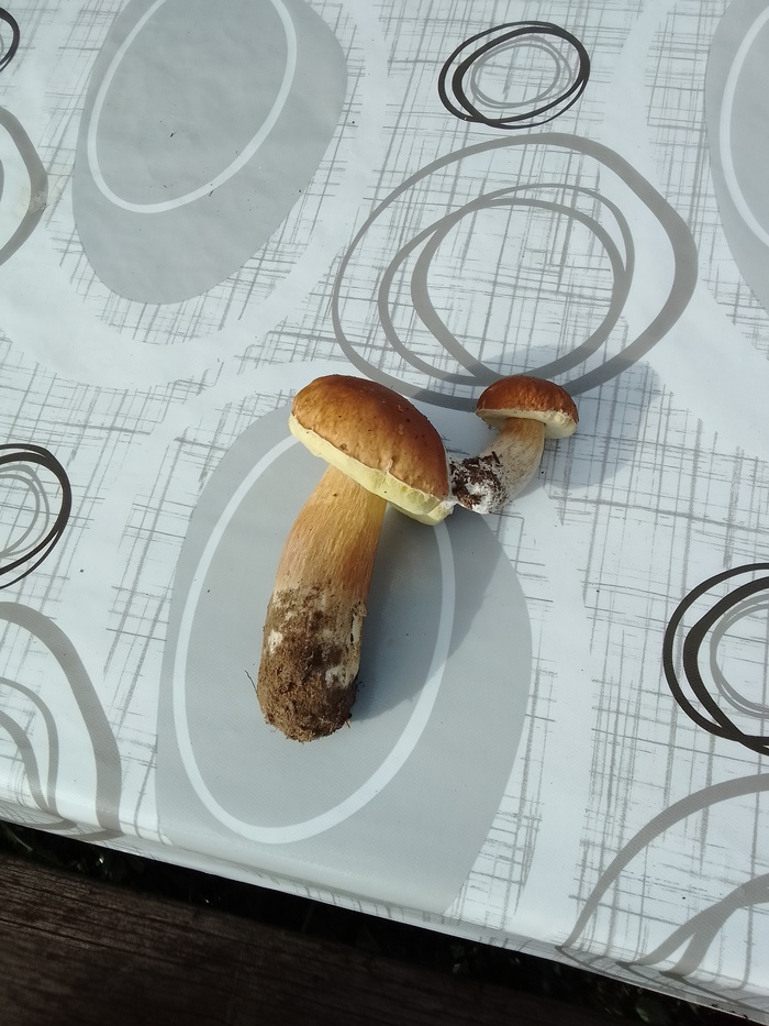   , , , , , 