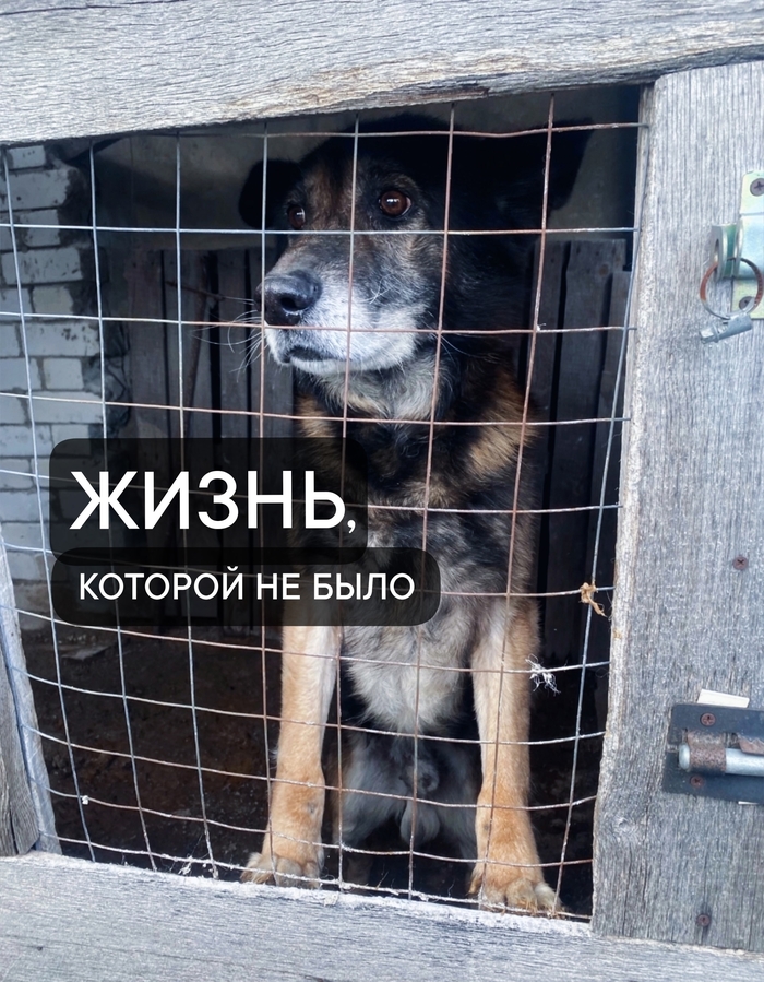 ,   .    ,   - . ϸ  -    ,  , ,  ,   ,  ,  , 