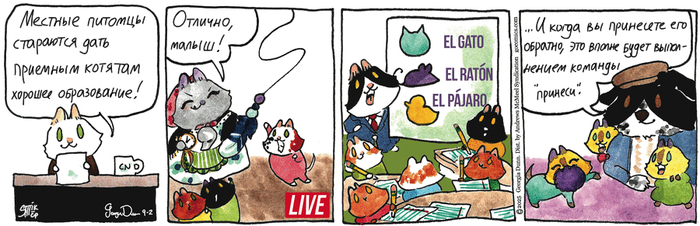    02.09.2025 ,   (), , 