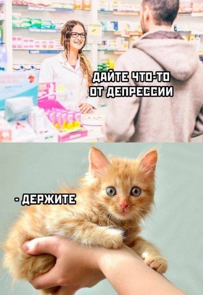     , , 