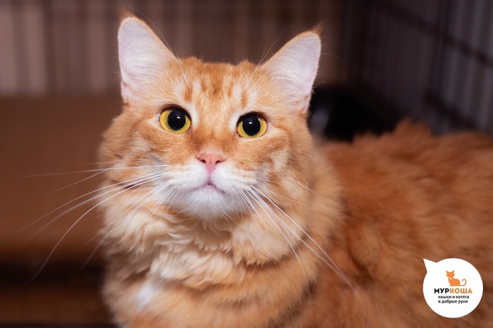   - 7 ,   . .        - .  ,              .