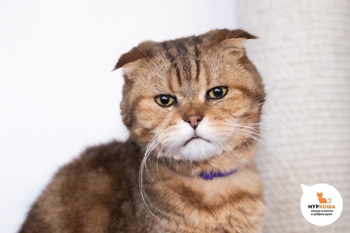   - 13 , .  .        - .  ,              .