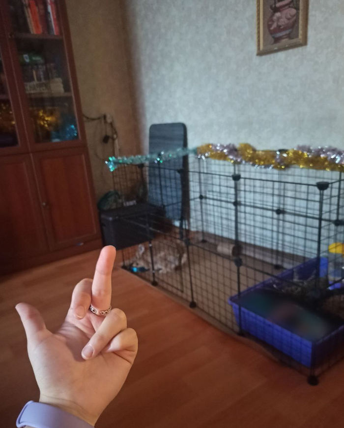 ПРОКЛЯТЫЙ СТАРЫЙ КРООООЛЬ!!! Напеваю я постоянно...