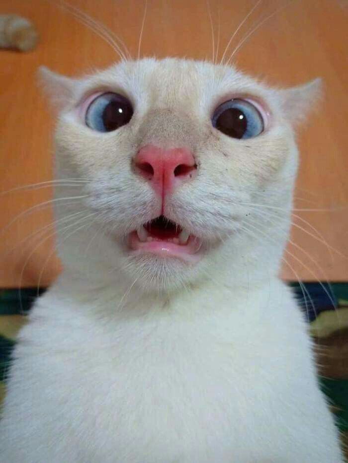       , , ,  , ,  ,   