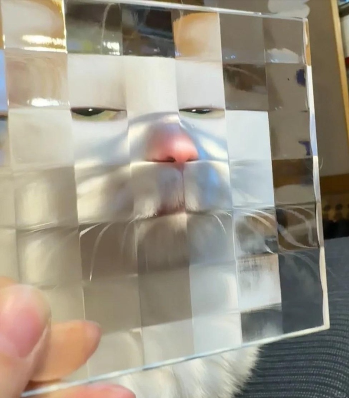  , , , , 