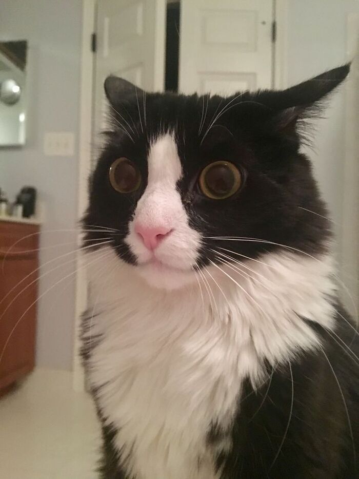   ,      , , ,  ,  , , , , , , 