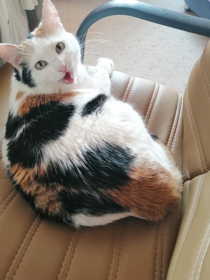   , , , ,  