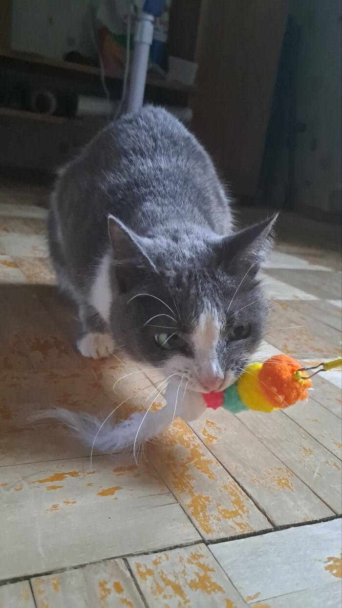    ,  ,  ,  ,   , 