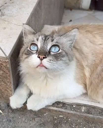         ! ,   , ,  , ,  , ,   ,  ,  , ,  ,  ,  ,  ,  , 