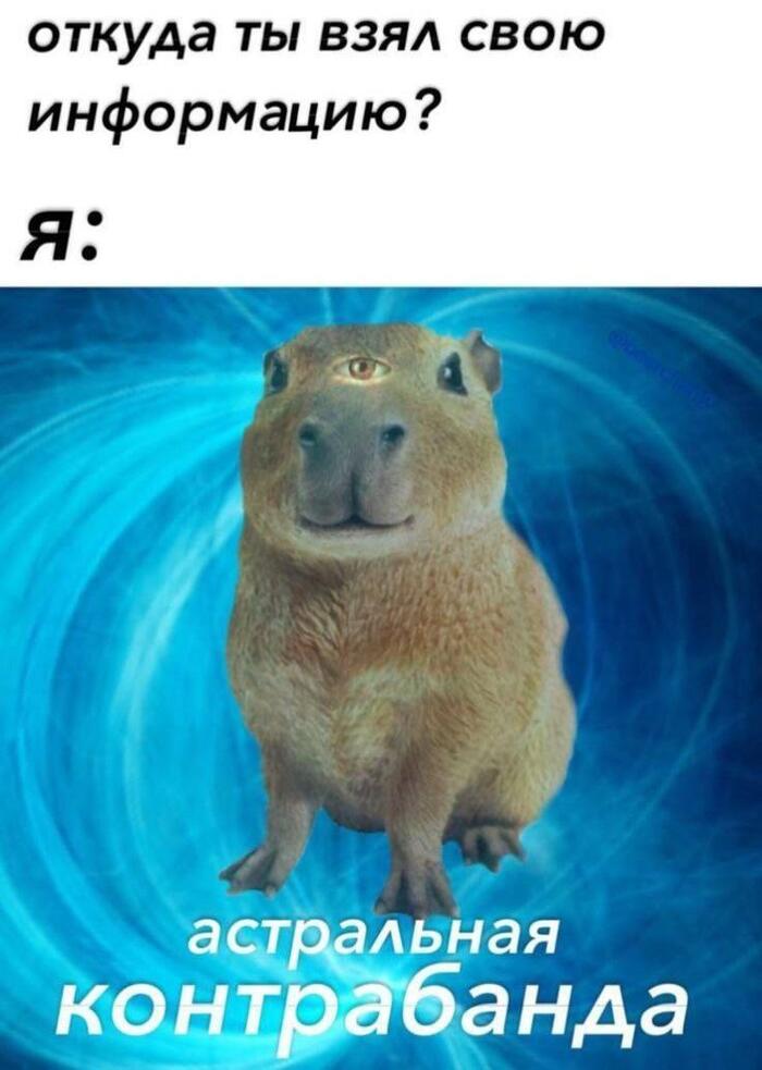    [:|||:] , ,  ,  , ,   , 