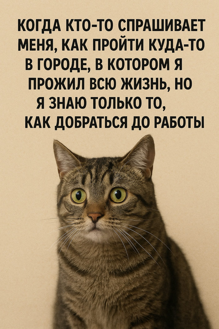  -   ,   , , , ,  ,  ,  , , , , 