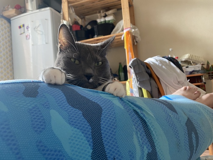  ,     ,          .    ,  .