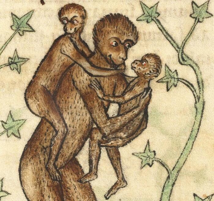 . "De Natura animalium" (  ), ,  1270 . , ,  .