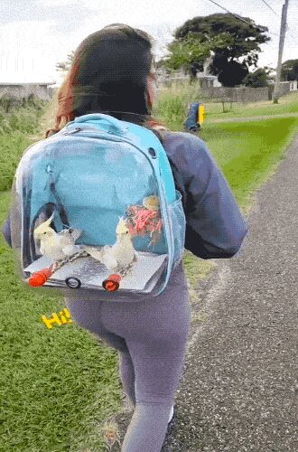    , , , 