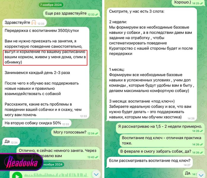           ,  , , , ,  , ,  ,  , Telegram (), 