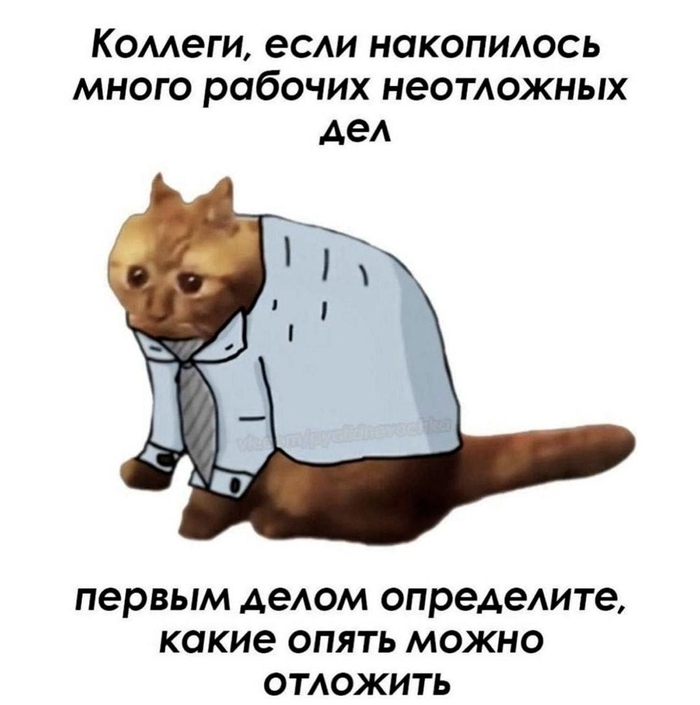      , , , , ,  , , , ,  , , , 