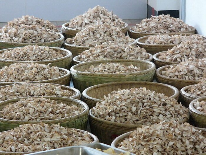 Сушеные и нарезанные корневища пузатки высокой. Фото с сайта <!--noindex--><a href="https://pikabu.ru/story/orkhidei_puzatka_vyisokaya_13162052?u=http%3A%2F%2Fmolbiol.ru&t=molbiol.ru&h=e51ae933f486bf6be10eb7462c226dc77cbf494c" title="http://molbiol.ru" target="_blank" rel="nofollow noopener">molbiol.ru</a><!--/noindex-->.