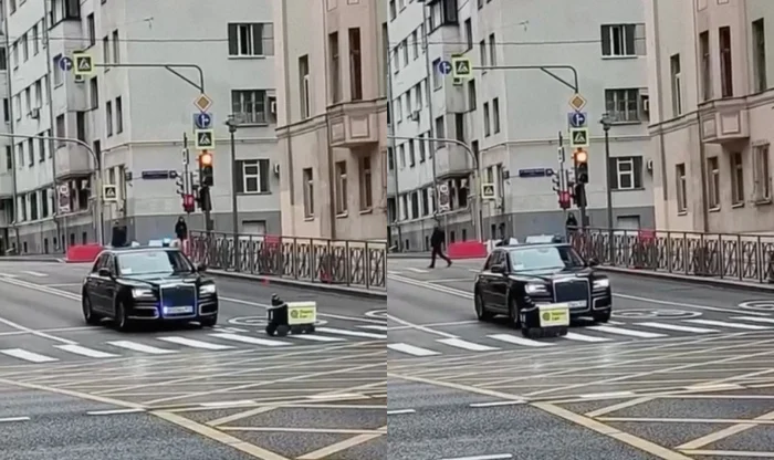 Ровер не пропустил чиновника с мигалкой на переходе Роверы, Доставка, Дорожное движение, Новости, Повтор