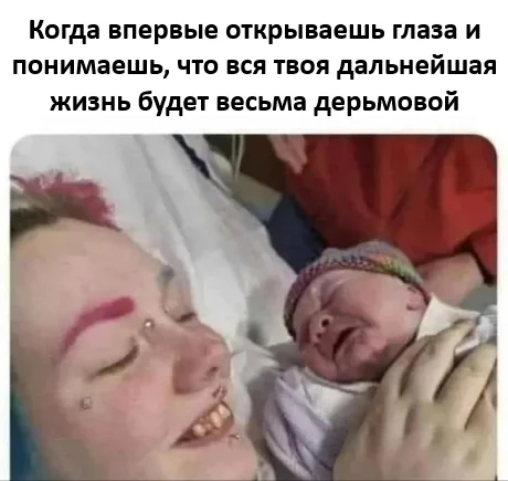 oel2xvbm.webp