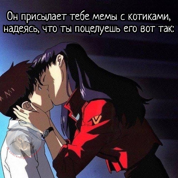  - Evangelion,  , , Misato Katsuragi, Shinji Ikari,  ()