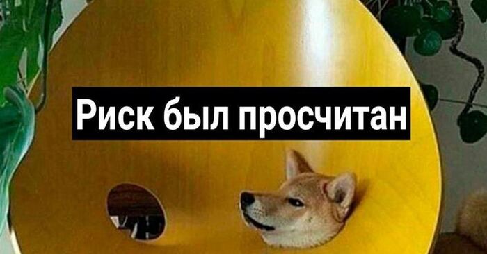 BIA анализ для бизнеса