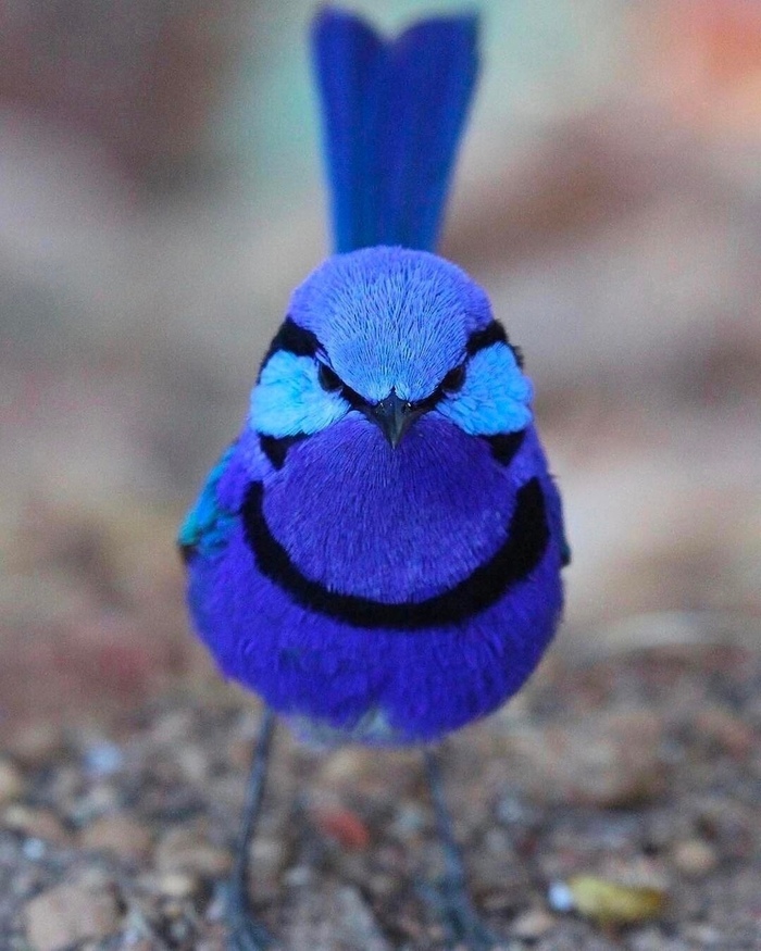   ! ,  ,  , , , 