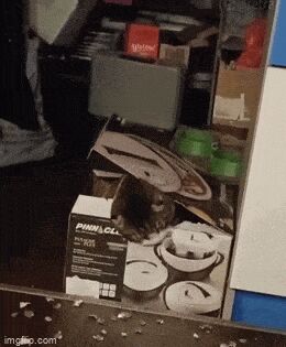   , , , 