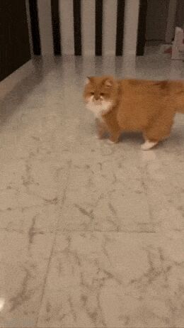   , , , 