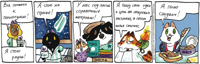    06.09.2025 ,   (), , 
