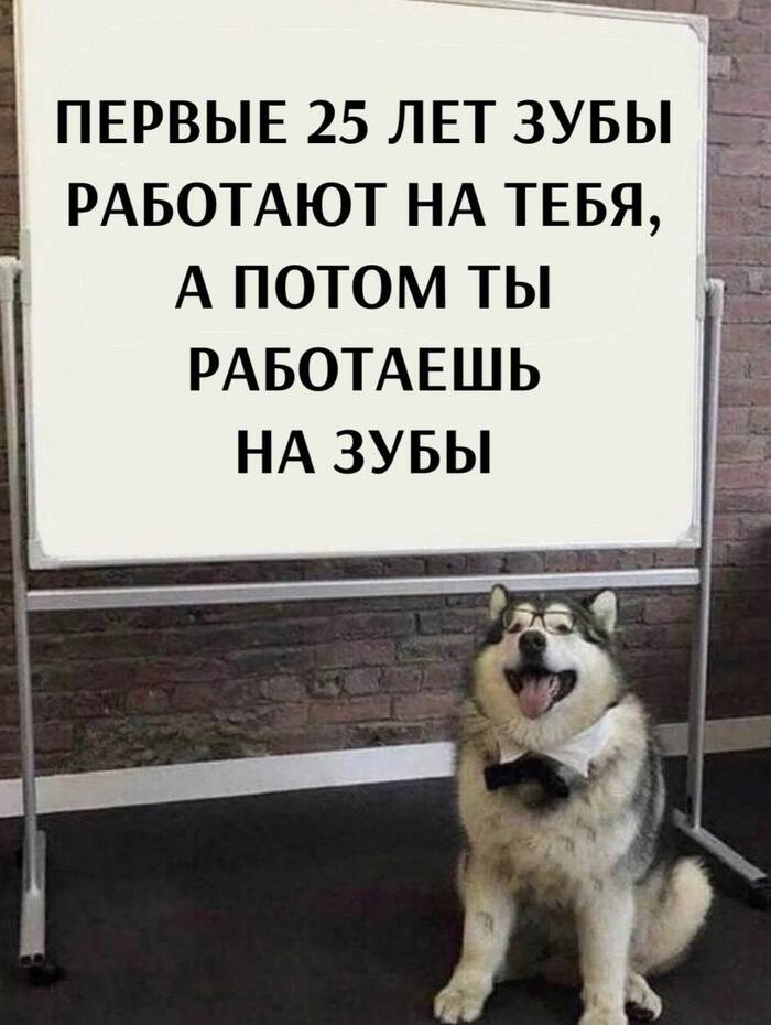 ,     ,   , , , Telegram (), 