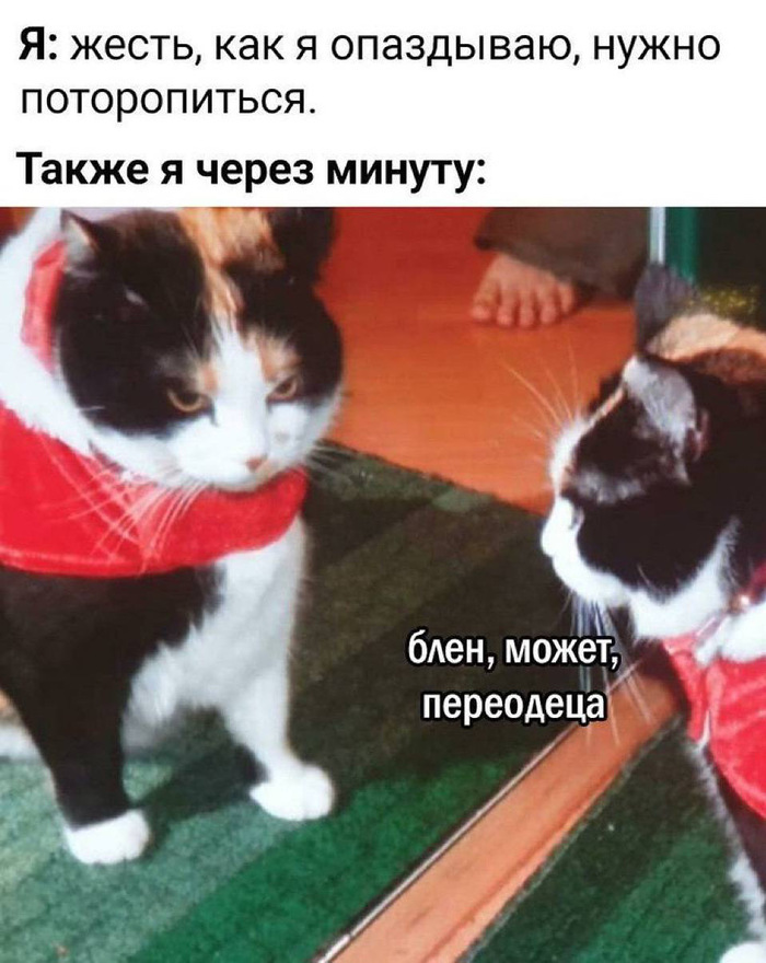     ,    , , , , Telegram ()