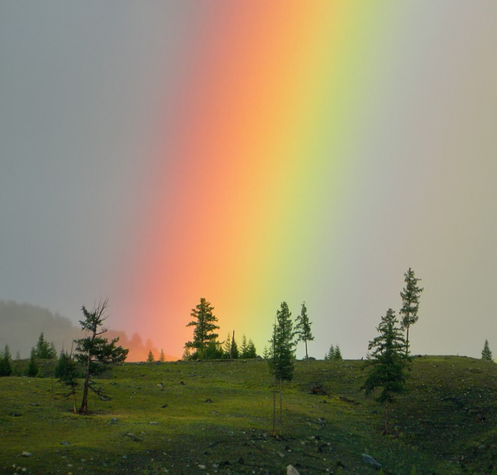 Rainbow