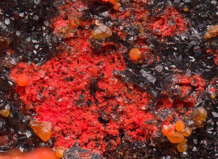  (. cinabro),        .