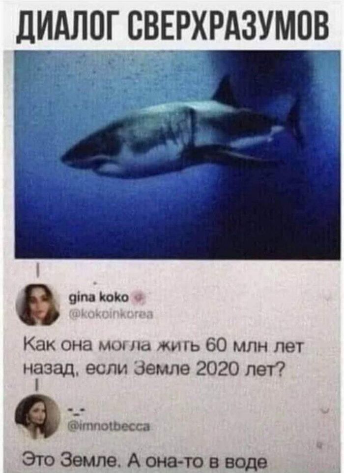 ...) , -, ,  , , , ,  , , 