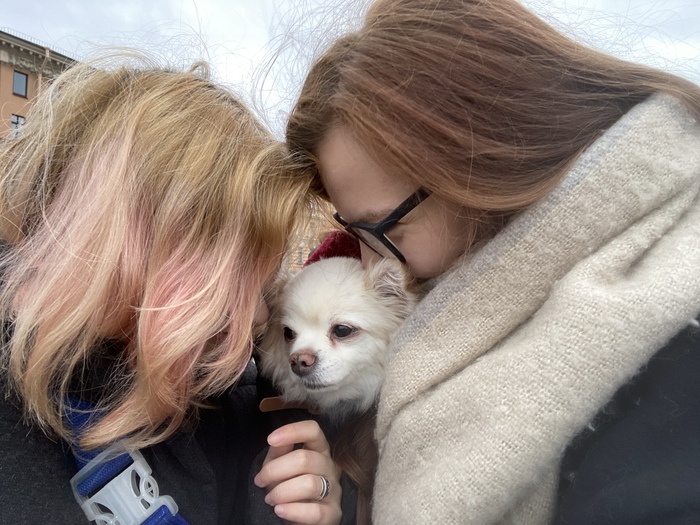 Маша, когда выросла, тоже завела двух собак🤍 я тоже, но это совсем другая история)